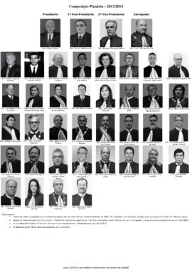 Composição Plenária 2013 -2014